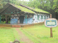 Anshi Nature Camp