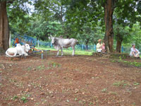 Anshi Nature Camp